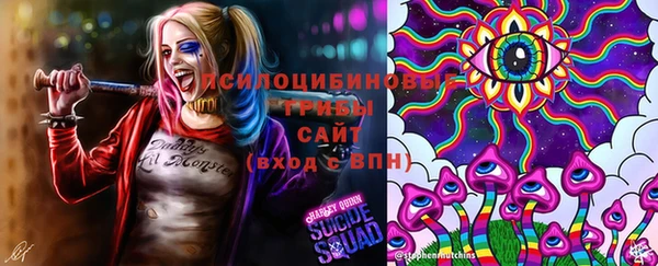 экстази Каменногорск