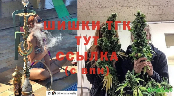 твердый Каменск-Шахтинский