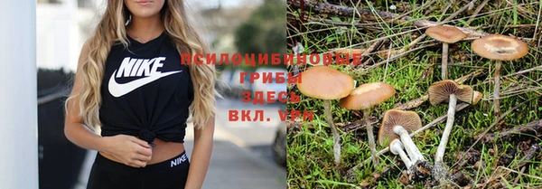 экстази Каменногорск