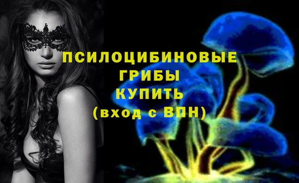 экстази Каменногорск