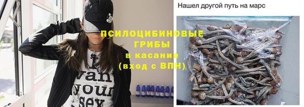 твердый Каменск-Шахтинский